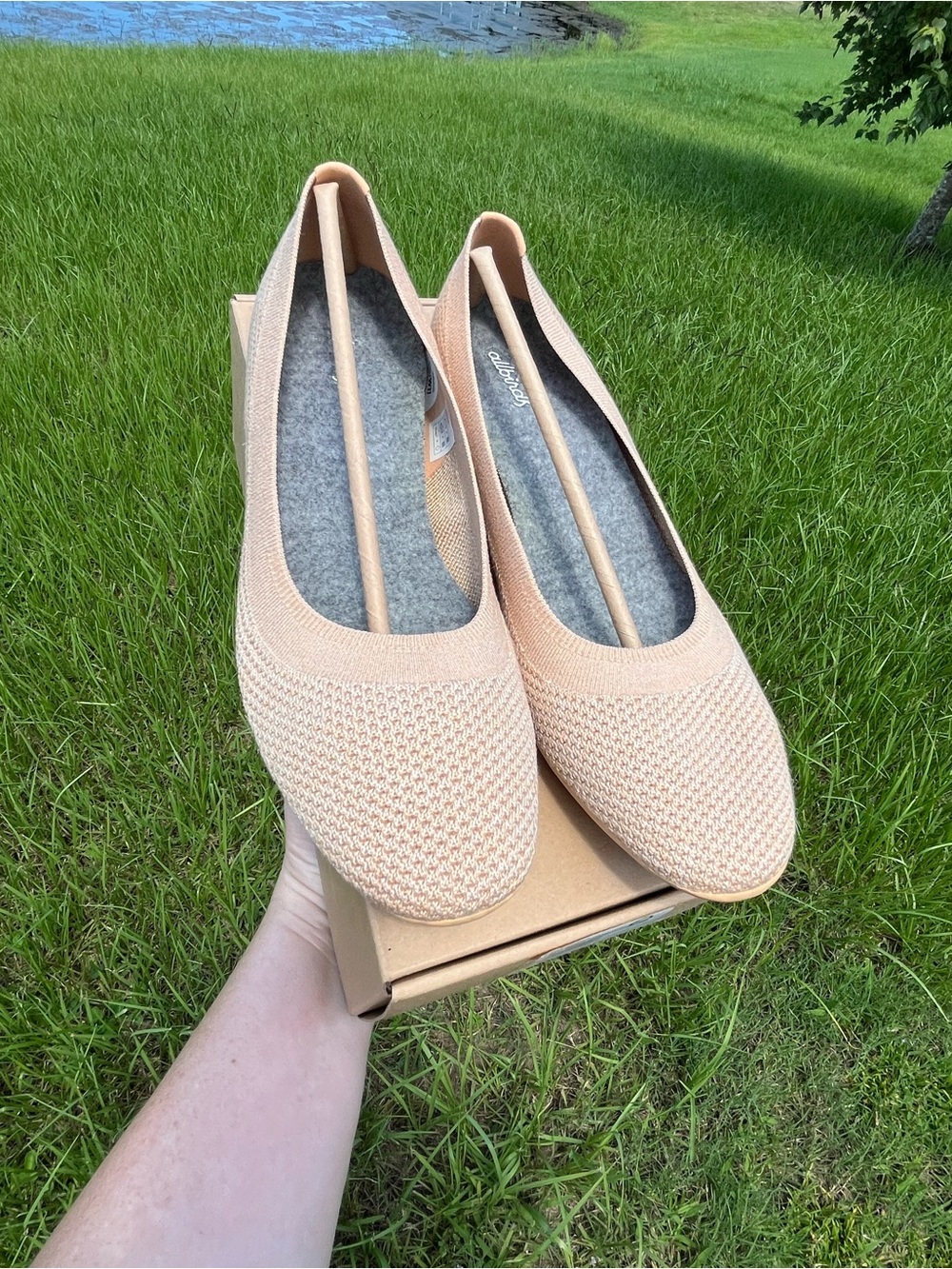 NWT Allbirds Tree Breezer Womans Knit Flats in Palisade Clay Size 11